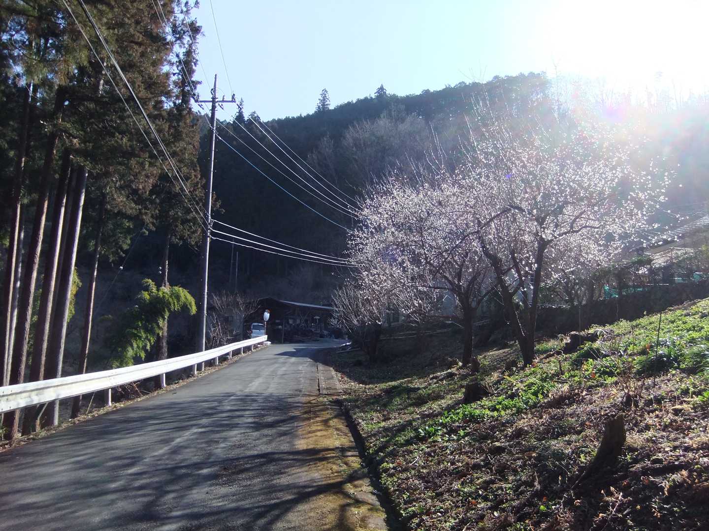 里は少しずつ春🌸