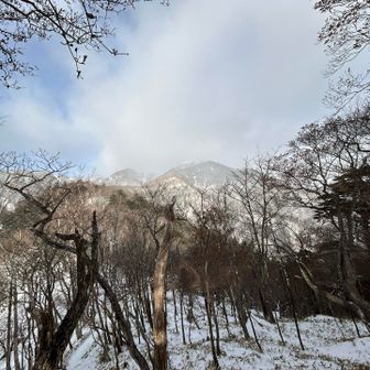雲がかかってるねー