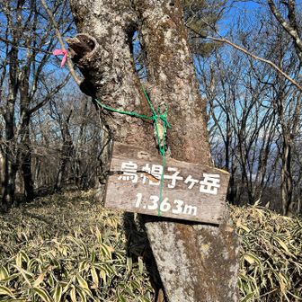 烏帽子ヶ岳着いた