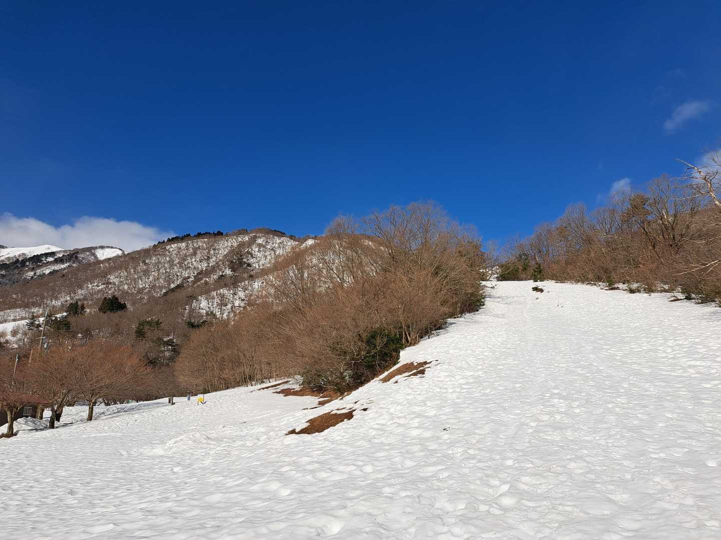 青い！空！