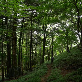 貞光川源流ルートで下山