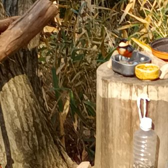 出合いの広場　野鳥餌場