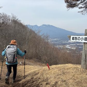 が、即、方向転換し、
逆方向へ🤭
いいのです、いいのです、思うままに🤭