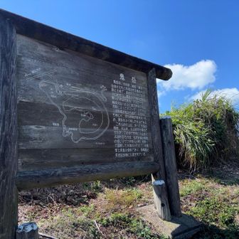 ふむふむ🧐
長崎県の天然記念物にもなってるんだね