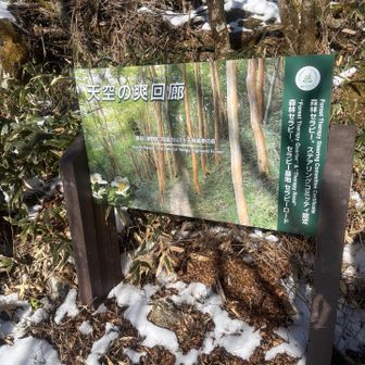 天空のさわやか回廊