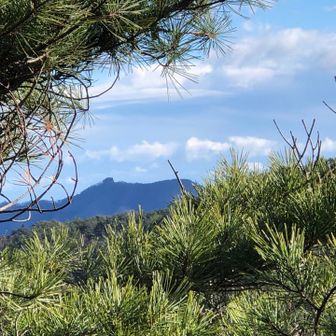 日本一早い山開きの　鹿狼山⛰️
来年の山開きには行けない😢