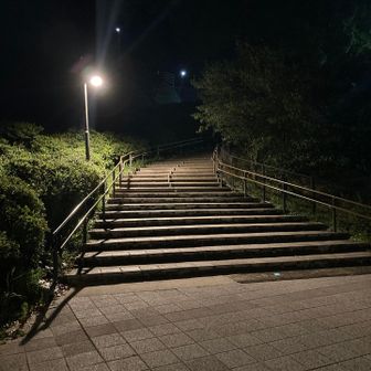 山頂へはここを歩きます。駐車場から片道15分程度ですのでハイカーの人達には楽勝ですね
