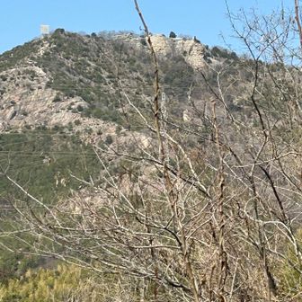 あのお山に登りました⛰️