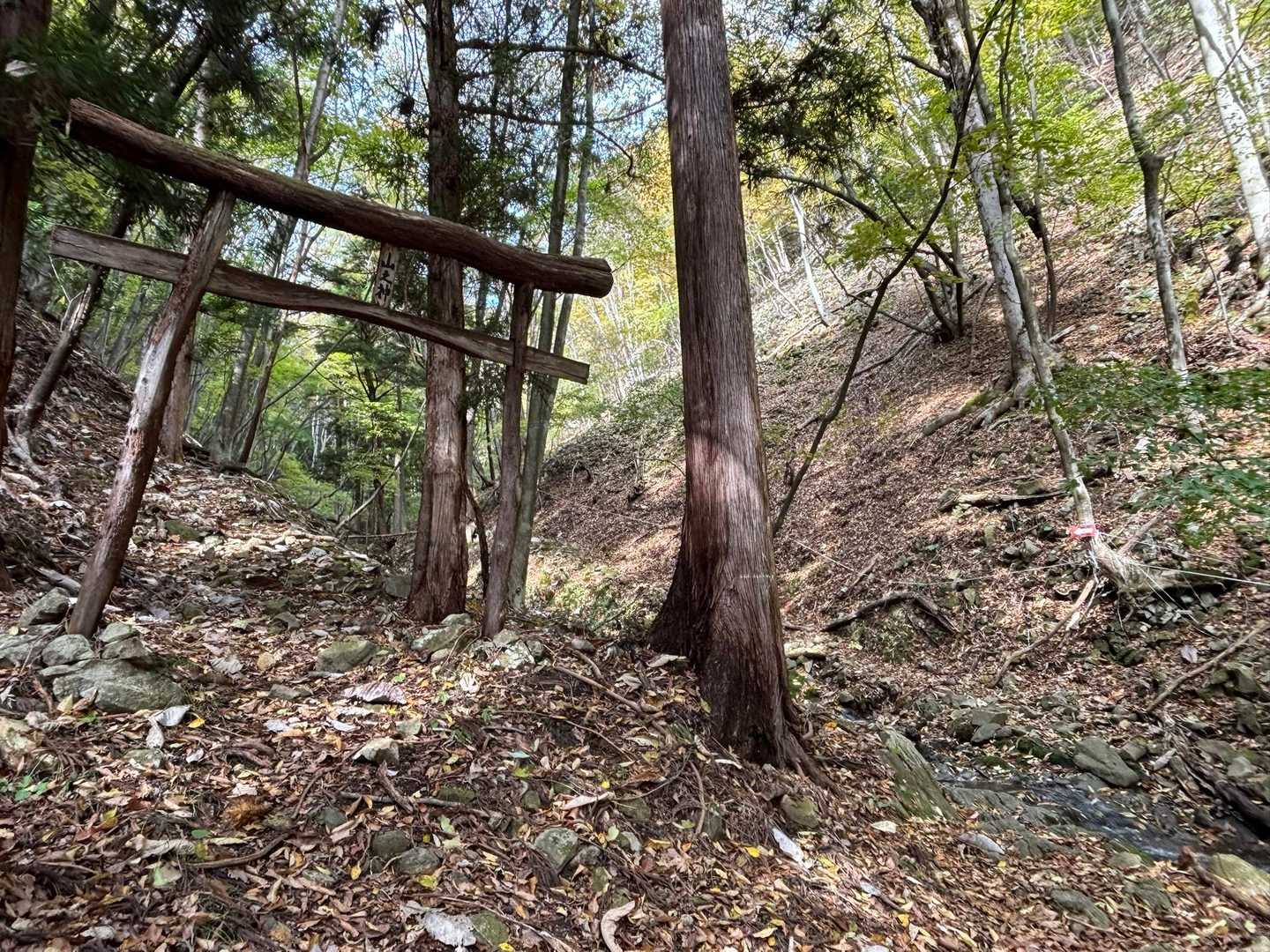 振り返って！
登りで
鳥居⛩️をくぐると、
獣道になってしまうので注意⚠️です！
右端に🟥赤い矢印があるので、
渡渉してそちらのルートへ！