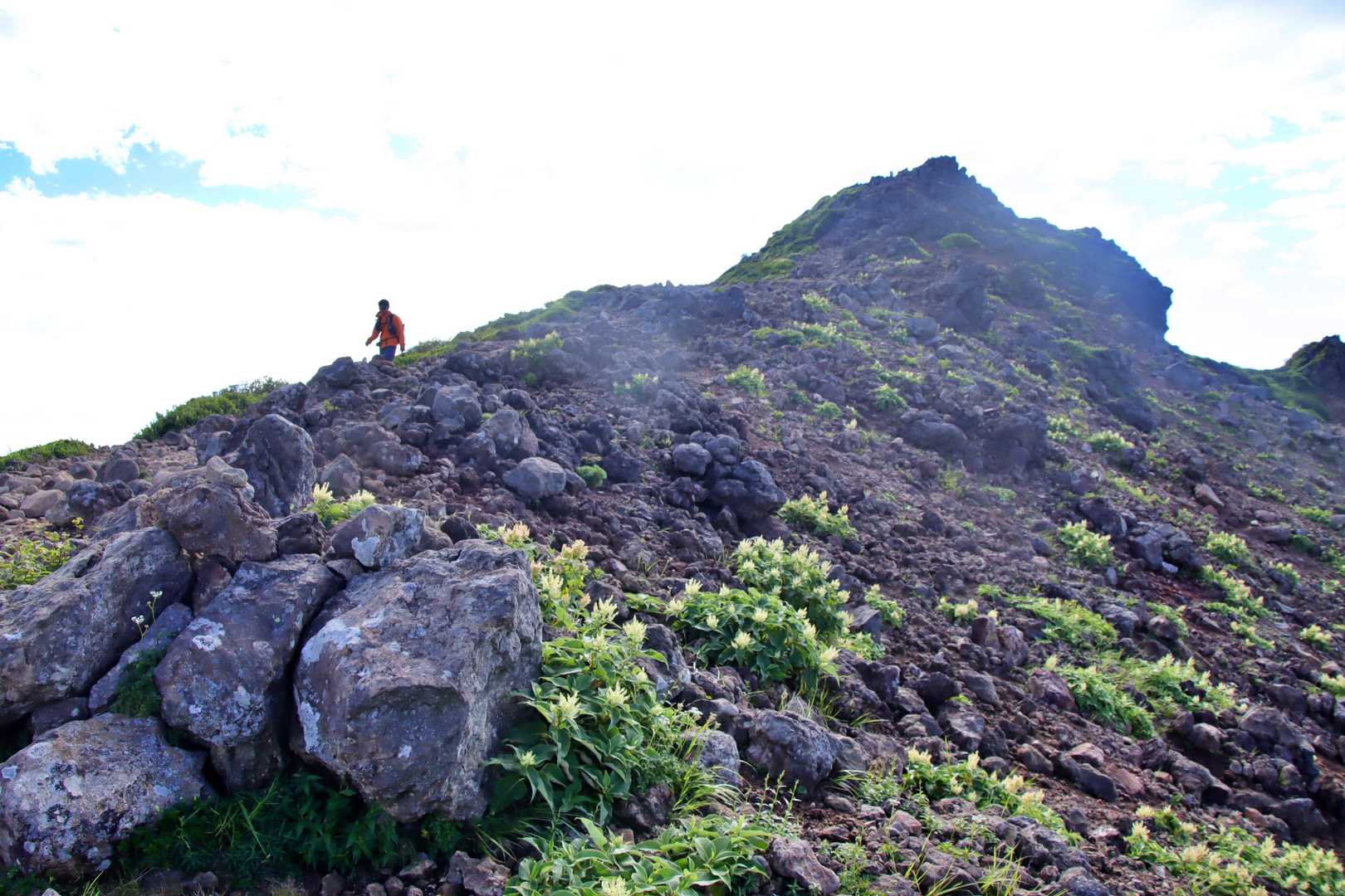 峠の茶屋登山口-朝日の肩-朝日岳-熊見曽根-1900m峰 往復コースの写真