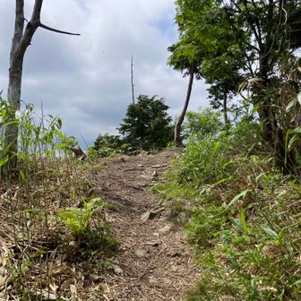 46、箱岩山へ⑥
山頂へ
