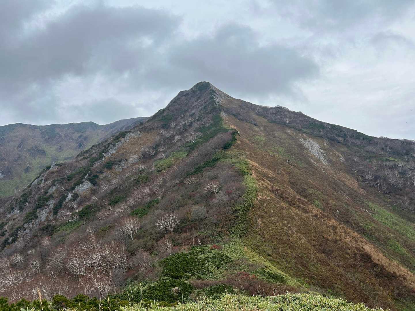 第二ピークです。格好良いです。