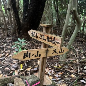 大山へ向かいます