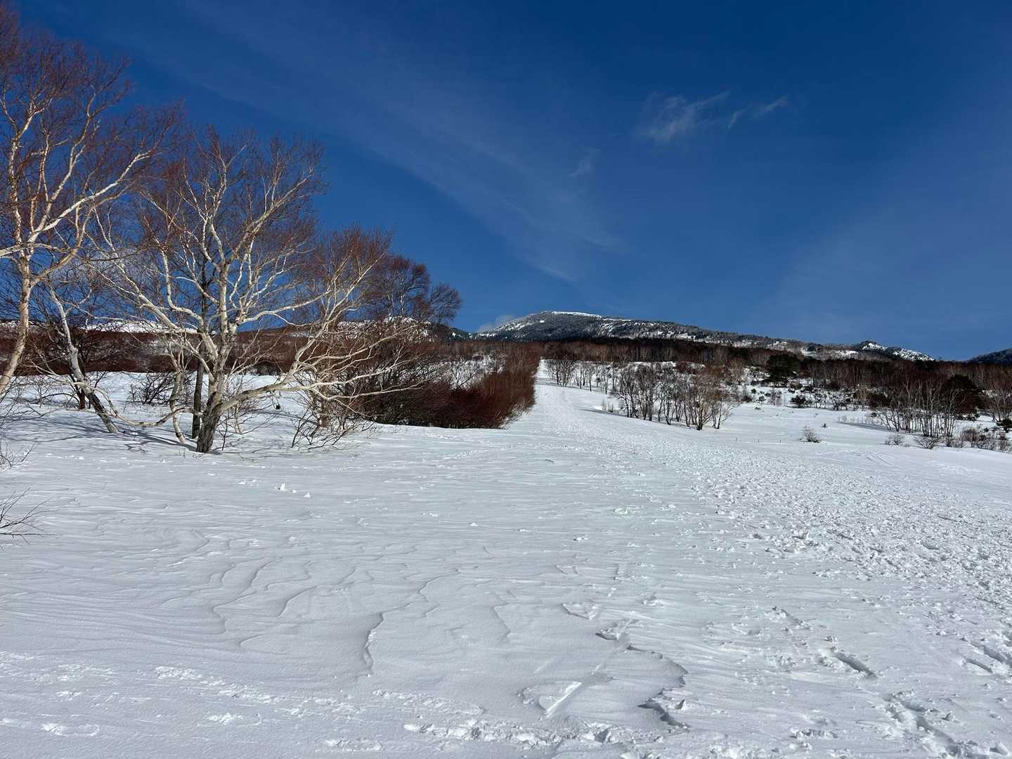 よい雪山歩でした😅