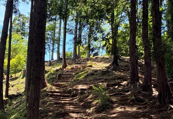 草戸山（東京・神奈川・364m）| 登山ルート・天気 | YAMAP / ヤマップ
