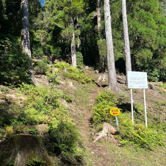 さてここから本格的に登山道に入っていきますよー