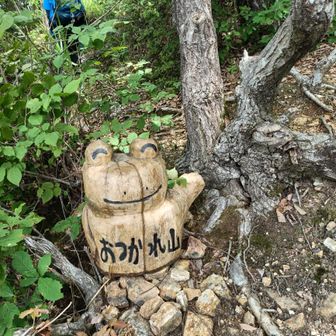 かえるさんです
