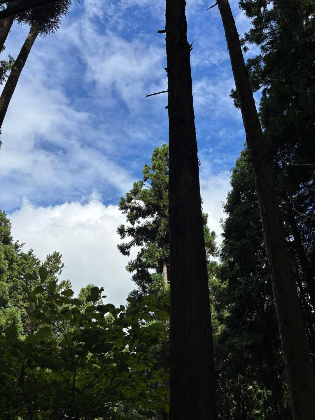 青空(о´∀`о)