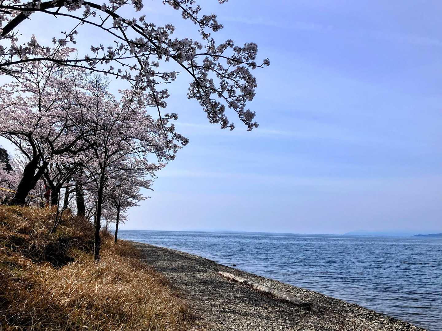 琵琶湖沿いの遊歩道。
気持ちよかった😊