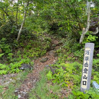 しばらく歩くと登山口
帰りは別ルートからここに戻る