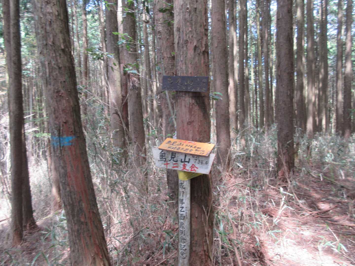 鳥見山山頂。