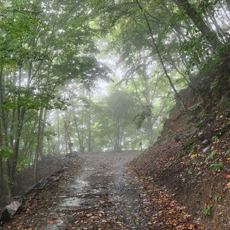 ずっと小雨下山