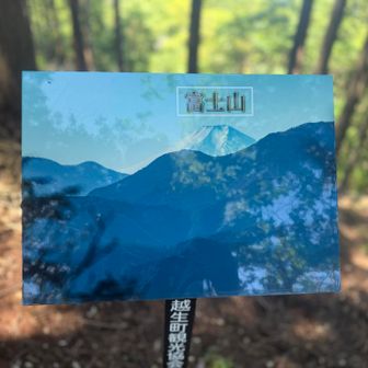 富士山が見えるらしい