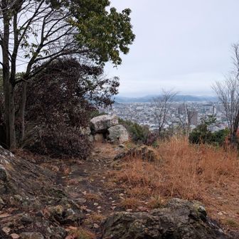 八代山、登頂！
ここに来たのは、40数年ぶりだ
小学生の時以来
あの岩は、なんとなく記憶にある！
当時はもっと木が茂っていて、こんなに眺望はなかった