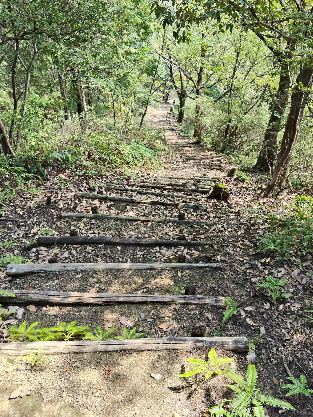 急な階段を一気に下っていくよ💪