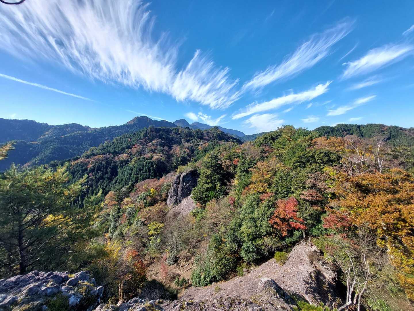 一ノ岳-大竿峠-犬ヶ岳 往復コースの写真
