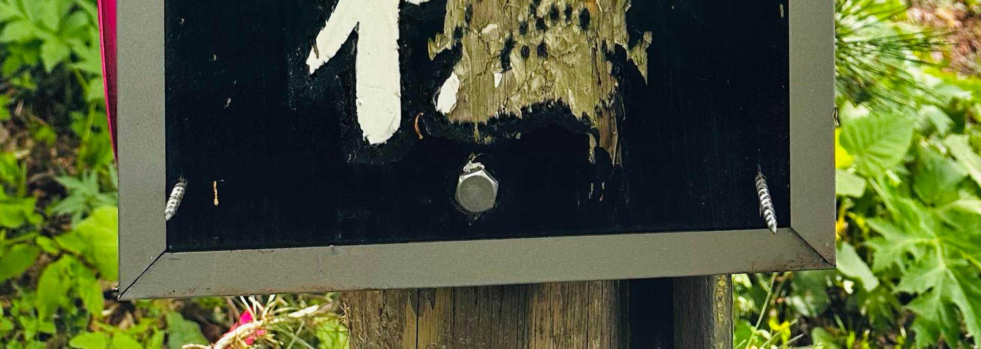 看板の上中下の６ヶ所にビスが突き出ています😳  熊対策の一環のようです。