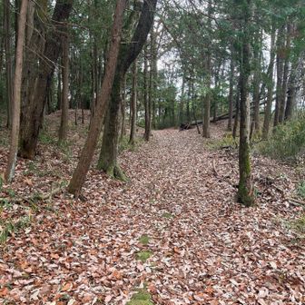 二つの古墳のあるところで合流です。
ということは、あと2分ほどで遺跡公園です。
1時間21分が経過。