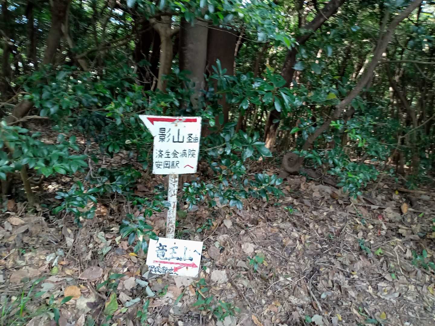 安岡の方への分岐。安岡〜竜王山〜鬼ヶ城とコバルトラインと呼ぶそうです。楽しい縦走路だそうです。