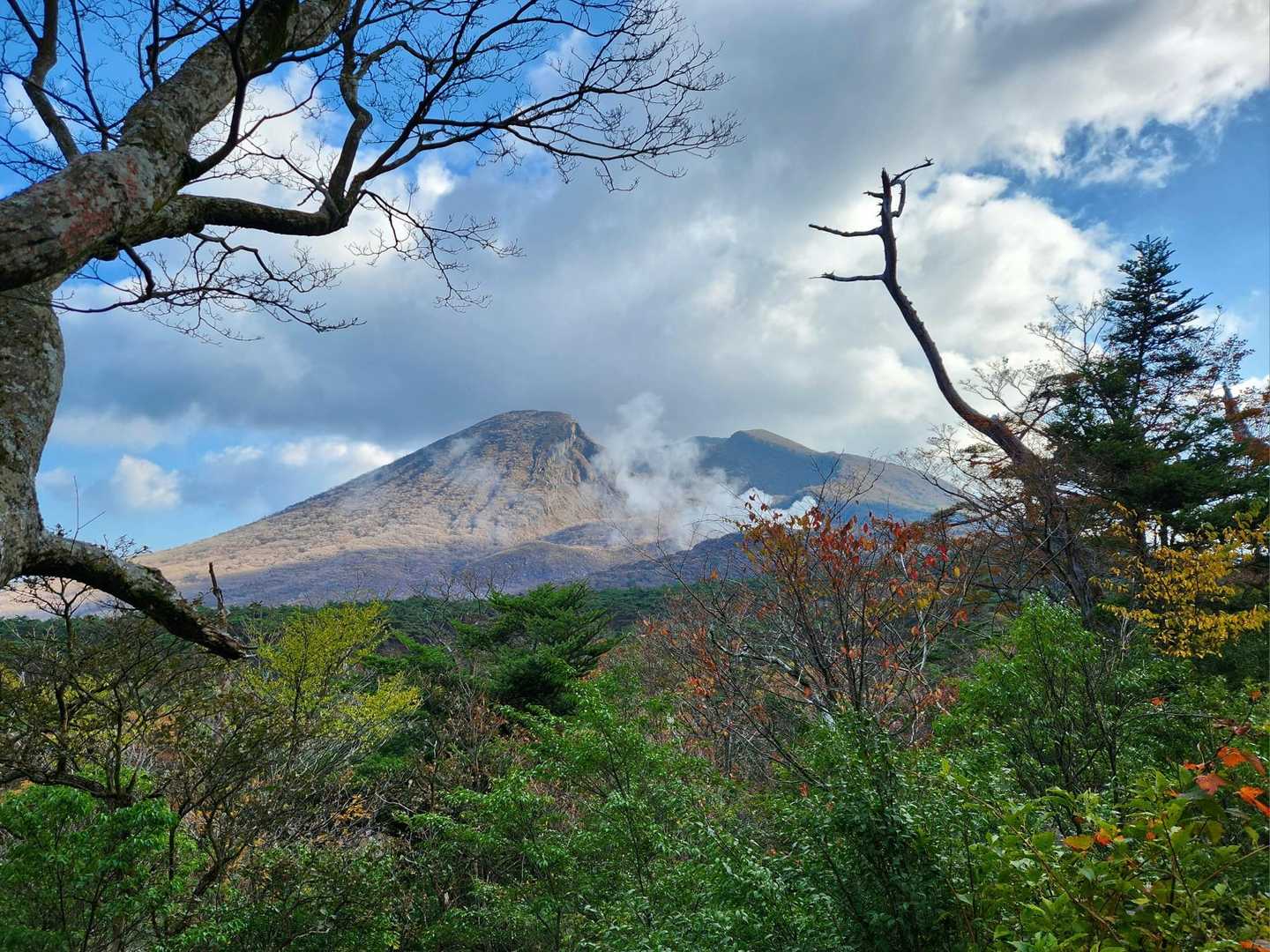 山肌が硫黄山の噴気のせいか珍しい色に