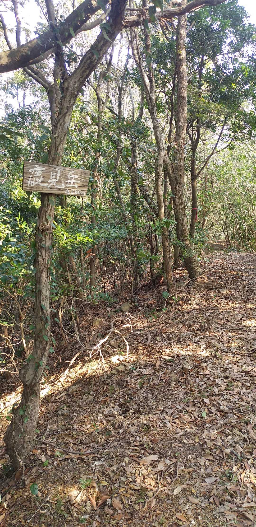到着しました。
