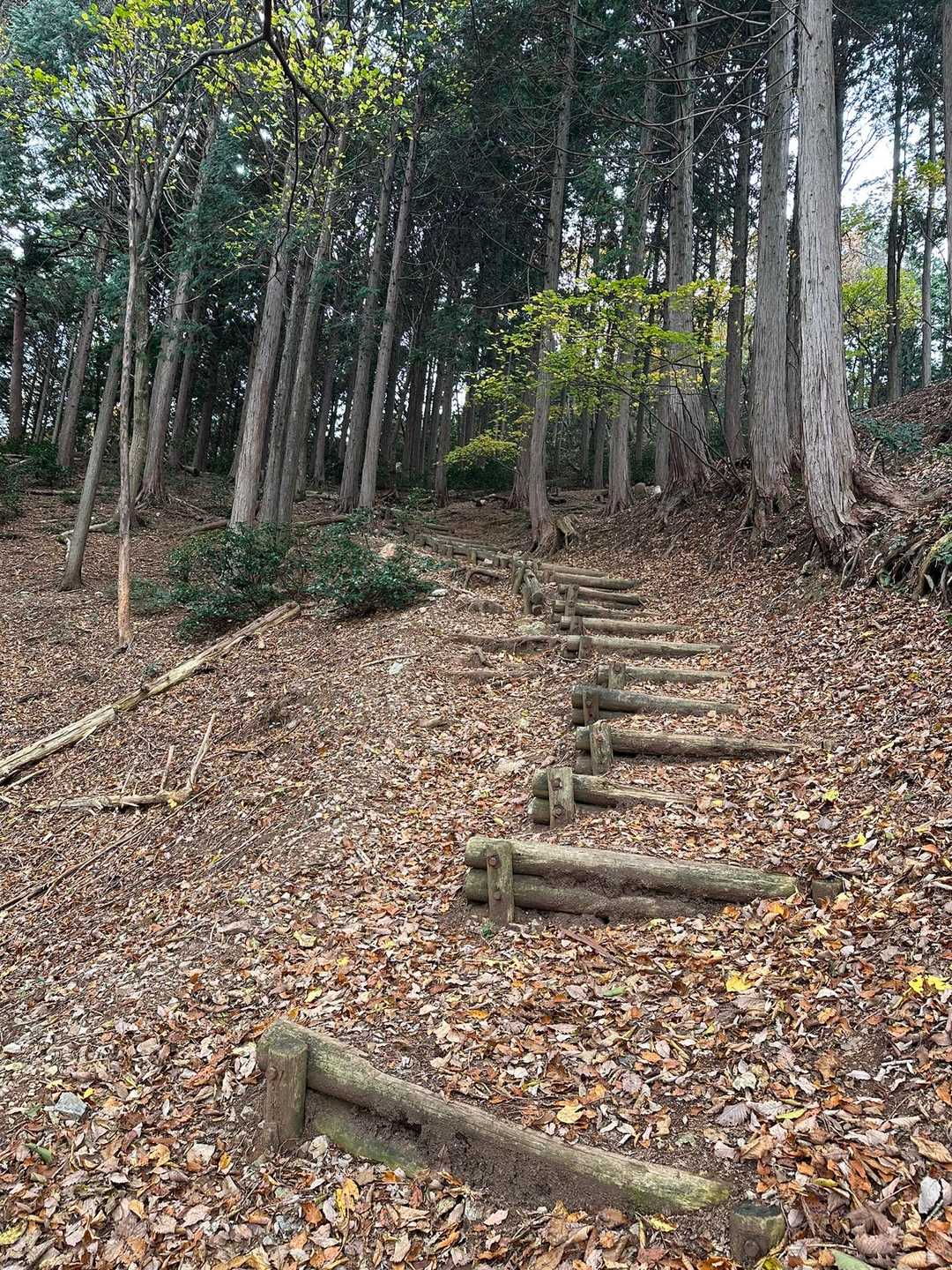 こんな綺麗な道が続く