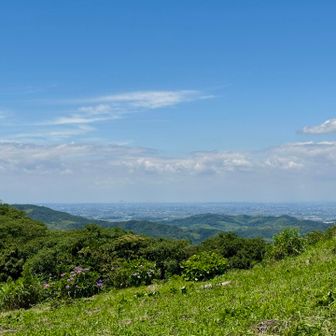 高いところからだと名古屋も見えるほどいい天気
