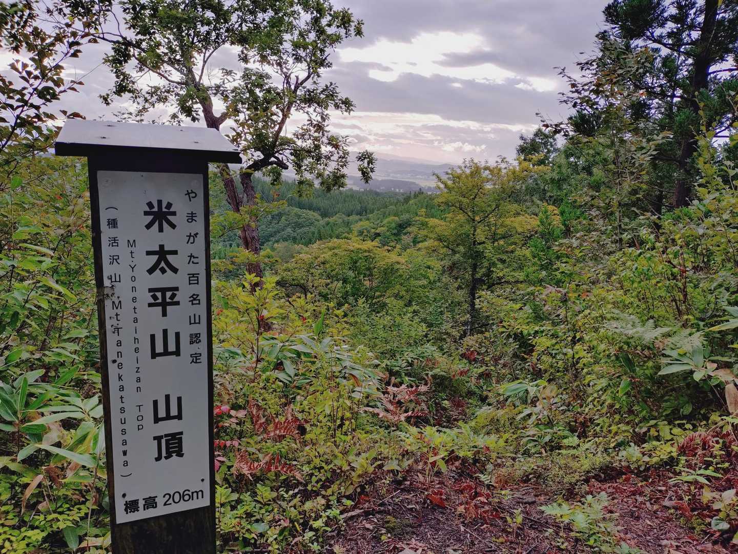 あっさり山頂😺