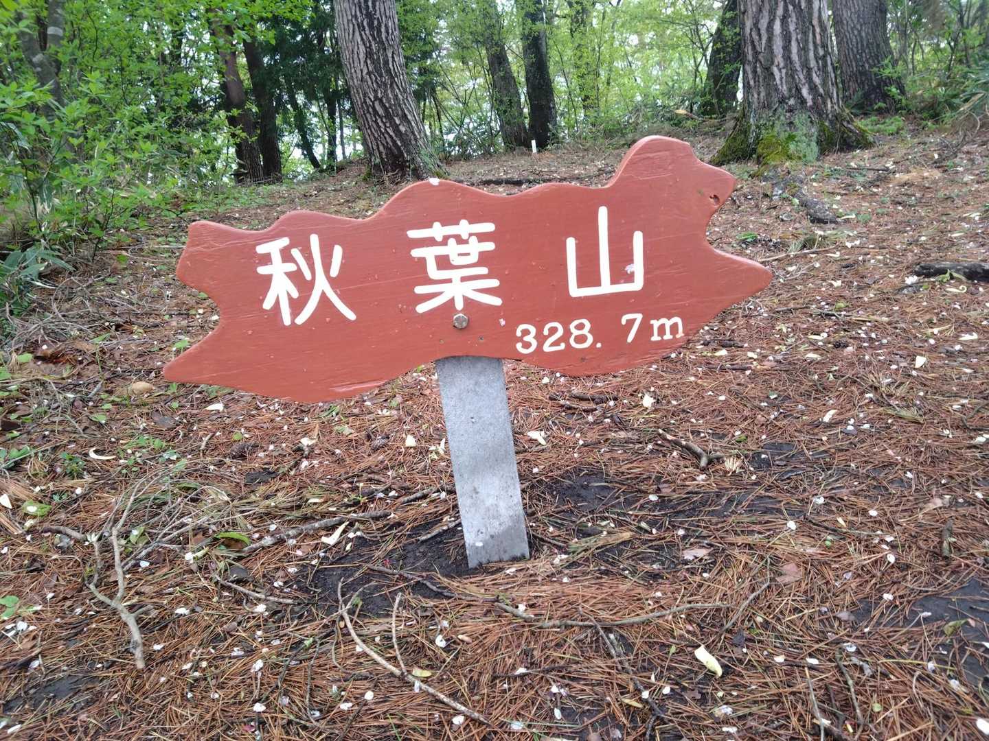 秋葉山到着