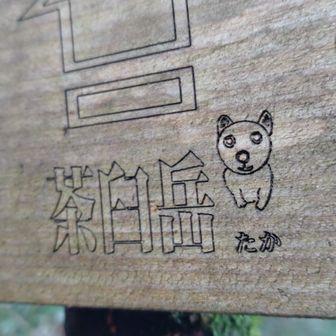 釈迦ヶ岳で帰るつもりだったが、釈迦ヶ岳に付くのが早かったので、茶臼岳へ行く事を決めた。
目的は犬の看板が見たいから。
えー💦茶臼岳に行かなくても見れる😳