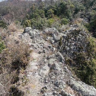 ここも両側が崖！