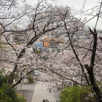 さて仕事です。雨降ってきたなぁ