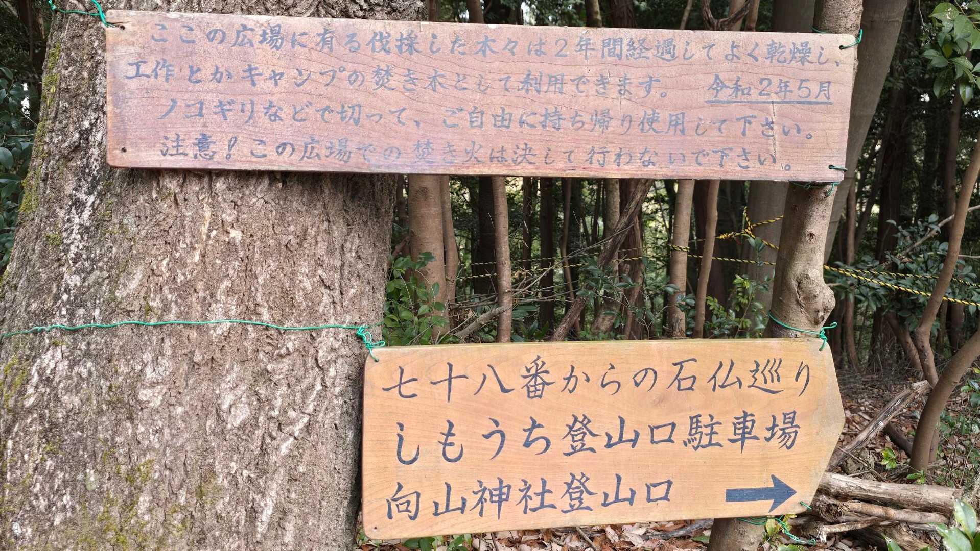 ここにある伐採した木々を自由に持ち帰って…って、何もかもが太っ腹過ぎる👏