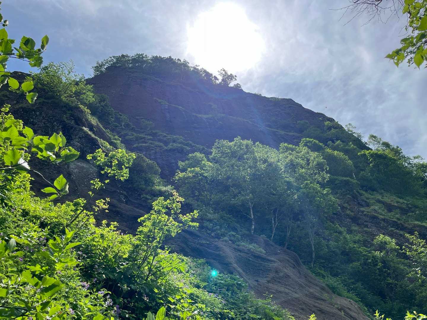 神々しい🌅