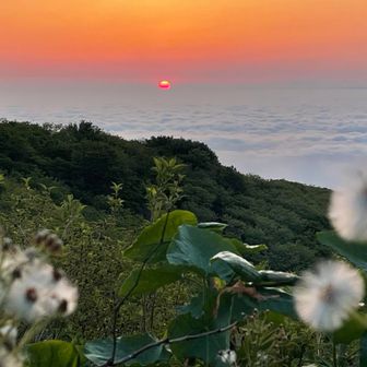 雲の層から脱出