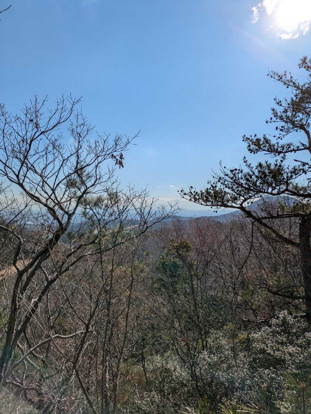 晴れて気持ちいいお天気〜最近お天気に恵まれてる✨