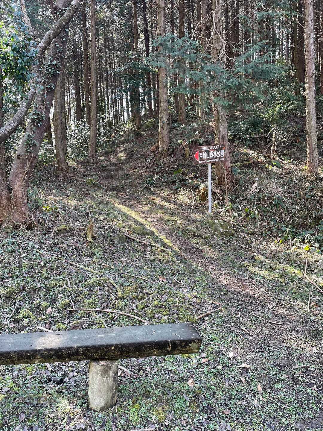 登山口
駐車場あり🅿️