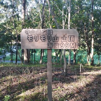 モリモリ山