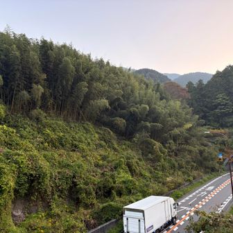 国道309号線を上から
