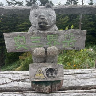他の人のレポでよく見るやつ🐻